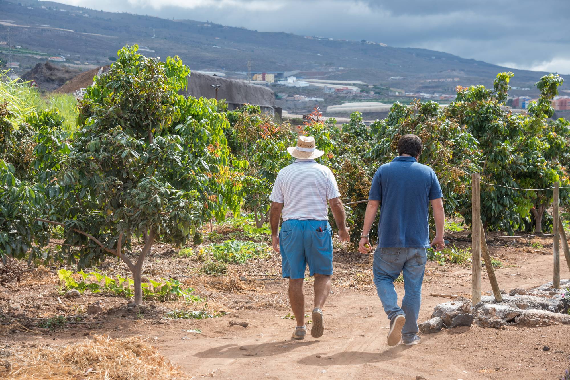 José Luis muestra los recovecos de su finca. José Luis muestra los recovecos de su finca.