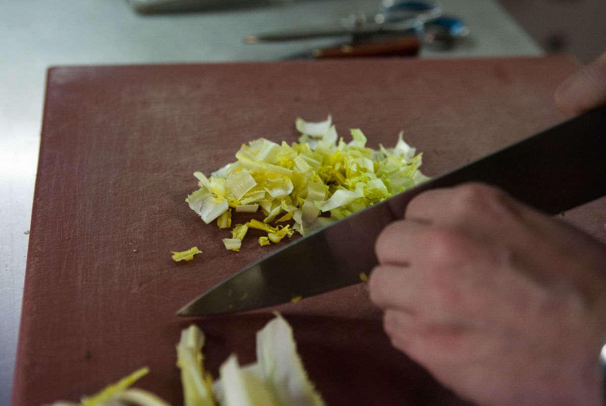 Achicoria Cortada en trozos muy pequeños. Achicoria Cortada en trozos muy pequeños.