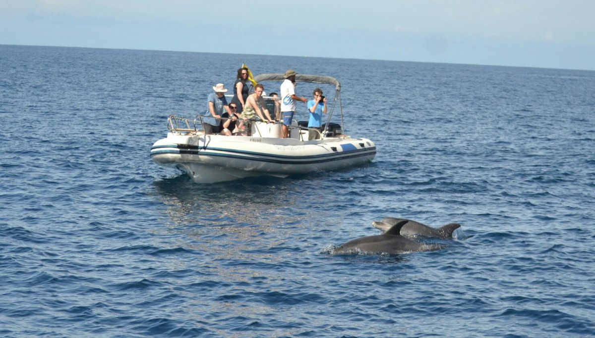 Se apaga el motor por respeto al ecosistema marino. Se apaga el motor por respeto al ecosistema marino.