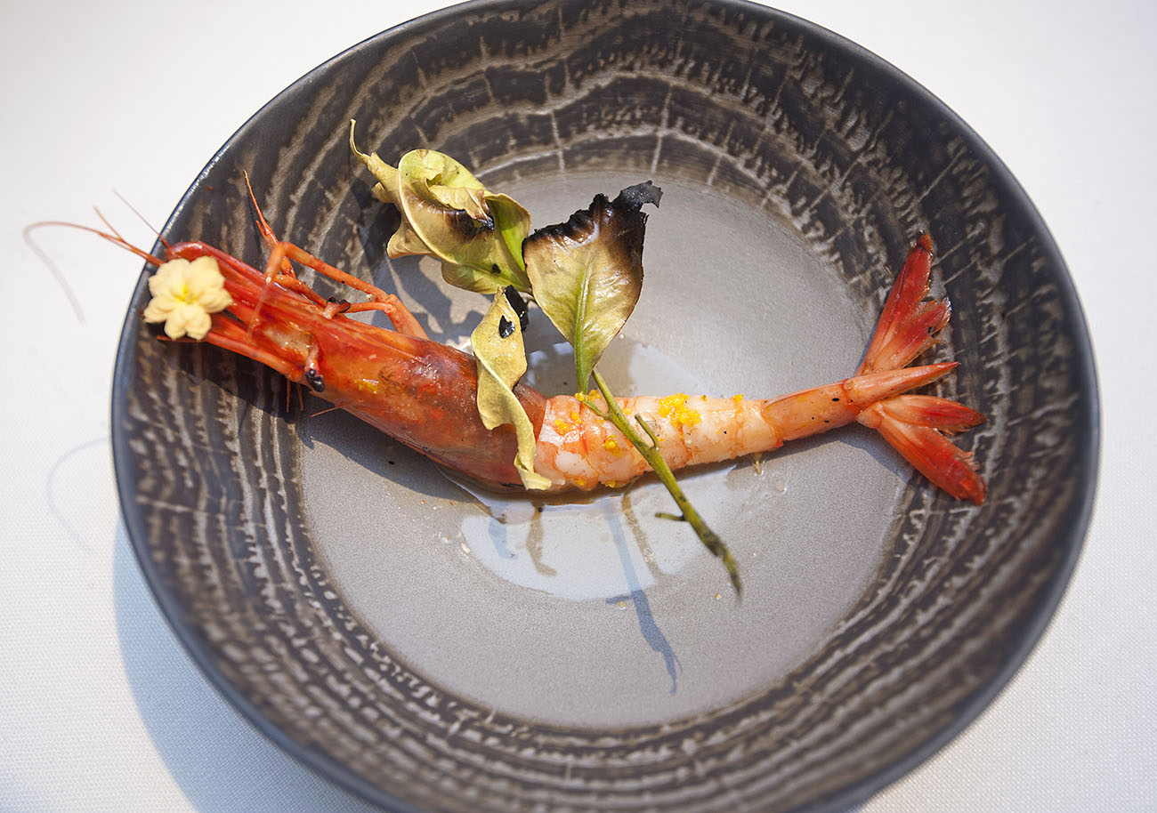 Las gambas rojas, de la Bahía de Jávea, frita con hojas de naranjo fritas. Las gambas rojas, de la Bahía de Jávea, frita con hojas de naranjo fritas.
