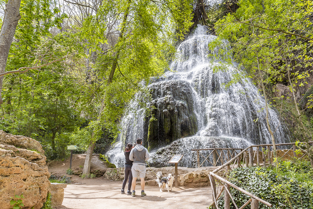 El parque admite la entrada de mascotas, siempre que vayan con correa. El parque admite la entrada de mascotas, siempre que vayan con correa.