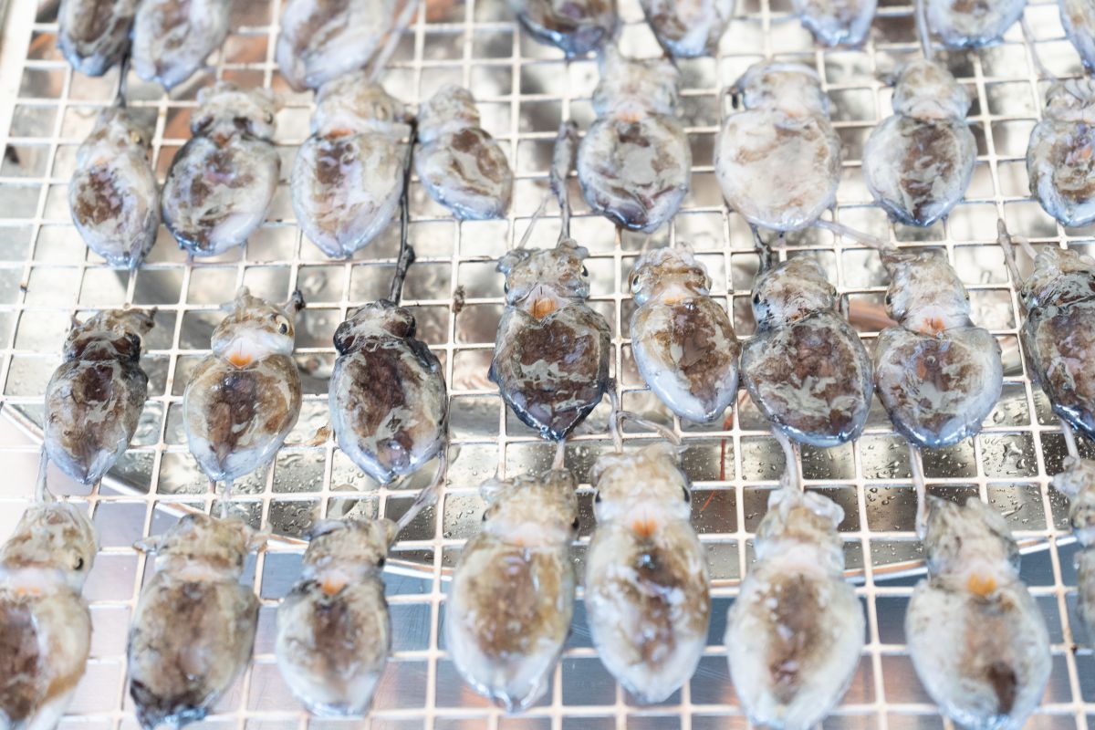 Pequeños chocos de Trocadero hechos a la brasa, conocidos también en Cádiz como "almendritas". Pequeños chocos de Trocadero hechos a la brasa, conocidos también en Cádiz como "almendritas".