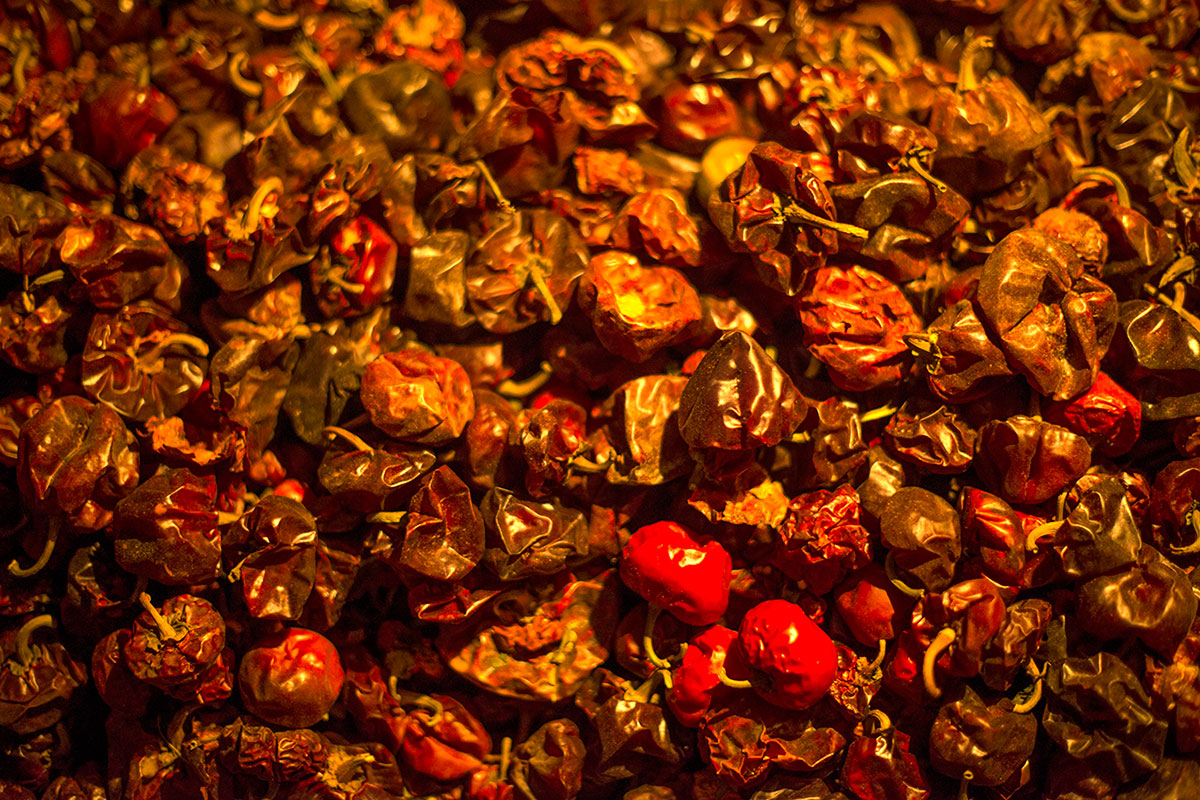 Pimiento de bola secándose en el secadero. Pimiento de bola secándose en el secadero.
