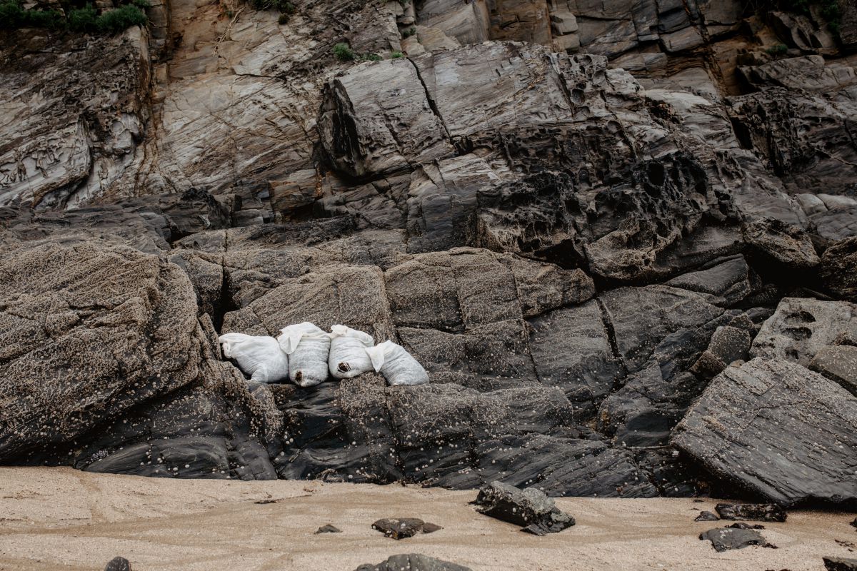 Algunos sacos de algas, ya en la playa, eperando para ser subidos a la furgoneta de Mar de Ardora, en Galicia. Algunos sacos de algas, ya en la playa, eperando para ser subidos a la furgoneta de Mar de Ardora, en Galicia.