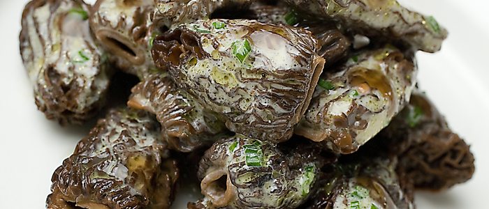 Colmenillas a la crema de trufa y armagnac, Ten con ten. Colmenillas a la crema de trufa y armagnac, Ten con ten.