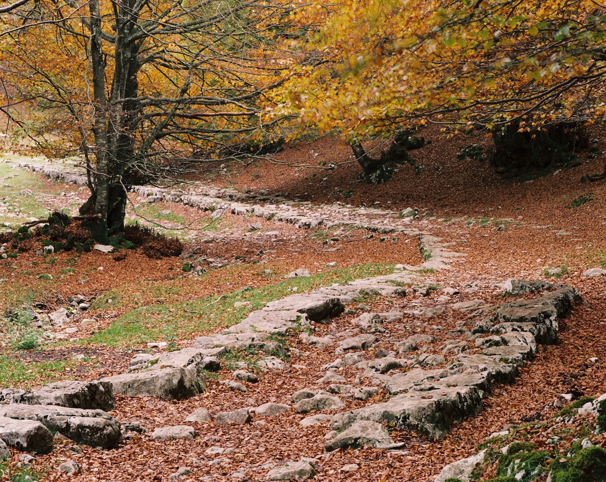 La calzada del siglo XI persiste a pesar de todo. Foto: Parque natural Aizkorri-Aratz. La calzada del siglo XI persiste a pesar de todo. Foto: Parque natural Aizkorri-Aratz.