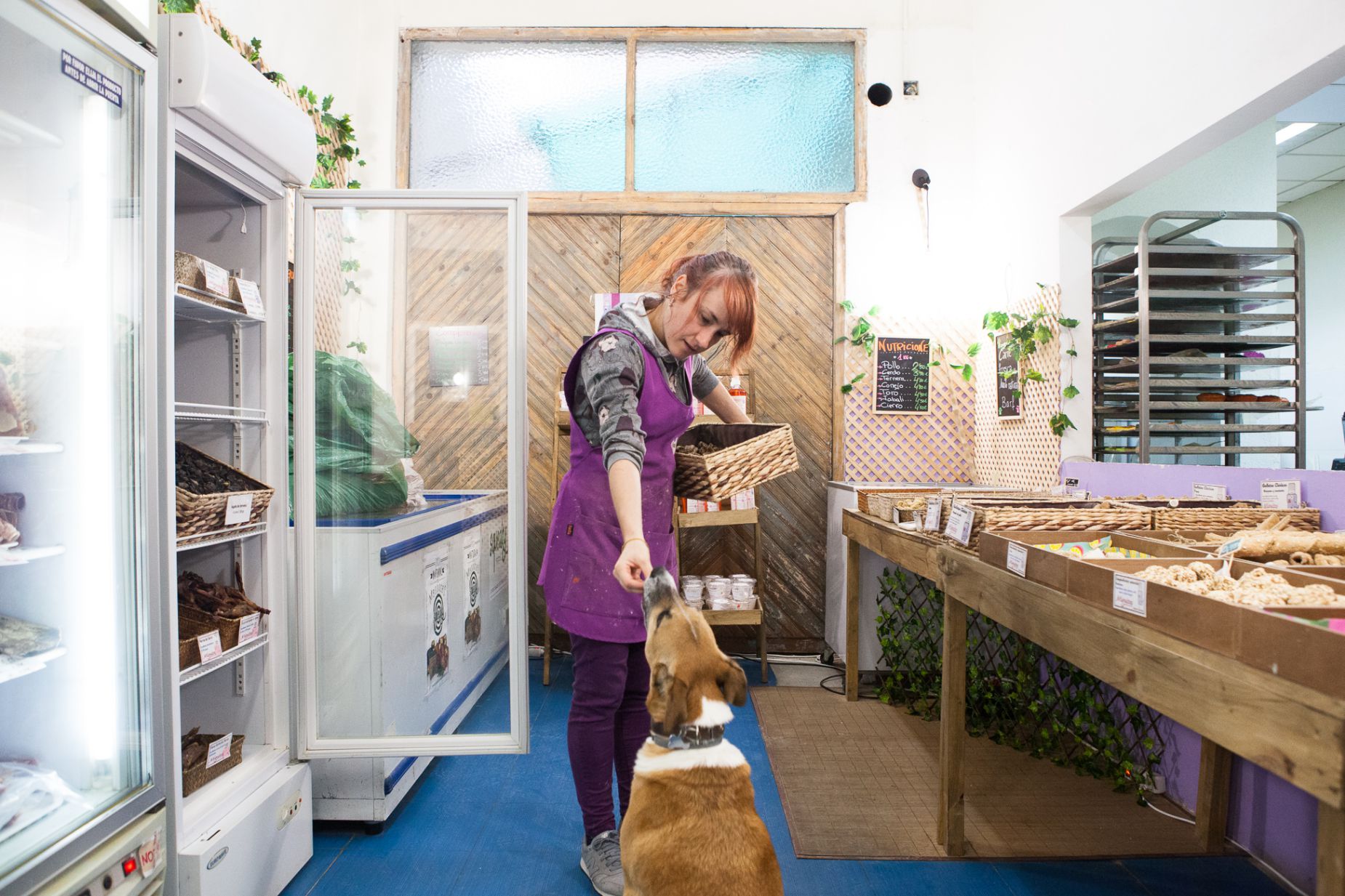 Tienda obrador 'Miguitas' (Madrid): dependienta dándole una galleta a un perro Tienda obrador 'Miguitas' (Madrid): dependienta dándole una galleta a un perro