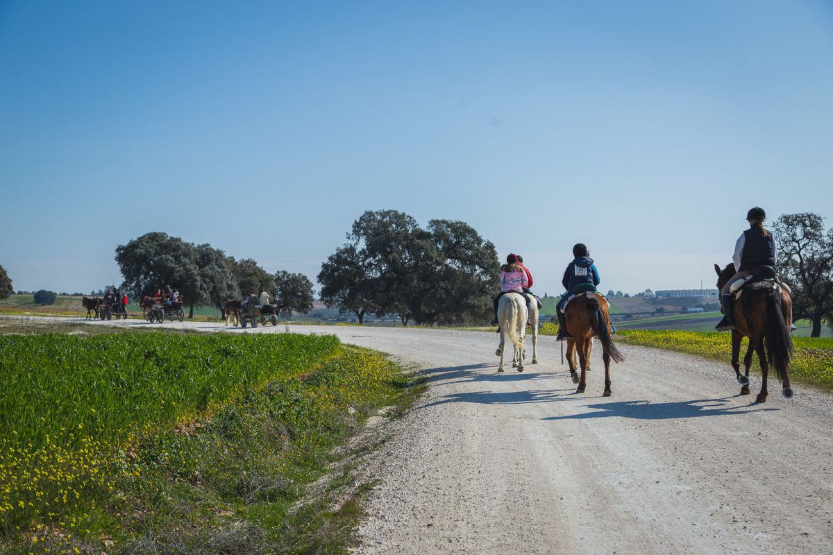 El camino se va pintando de verde y adentrándose por una zona más bucólica. El camino se va pintando de verde y adentrándose por una zona más bucólica.