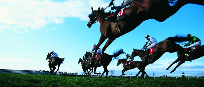 El Gran Hipódromo de Andalucía es el hipódromo más grande de España. El Gran Hipódromo de Andalucía es el hipódromo más grande de España.