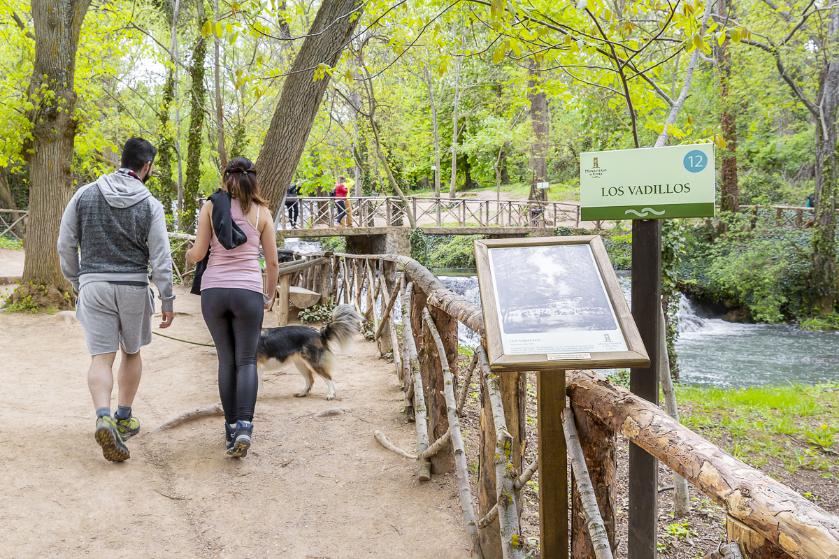 Con motivo del 800 aniversario del Monasterio, cada cascada tiene un cartel informativo con una foto antigua del lugar. Con motivo del 800 aniversario del Monasterio, cada cascada tiene un cartel informativo con una foto antigua del lugar.