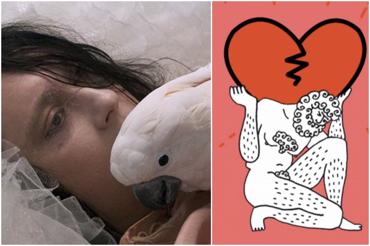 Portada del disco de Anohni y el Dj Andy Butler y una imagen actual de Anohni. Portada del disco de Anohni y el Dj Andy Butler y una imagen actual de Anohni.