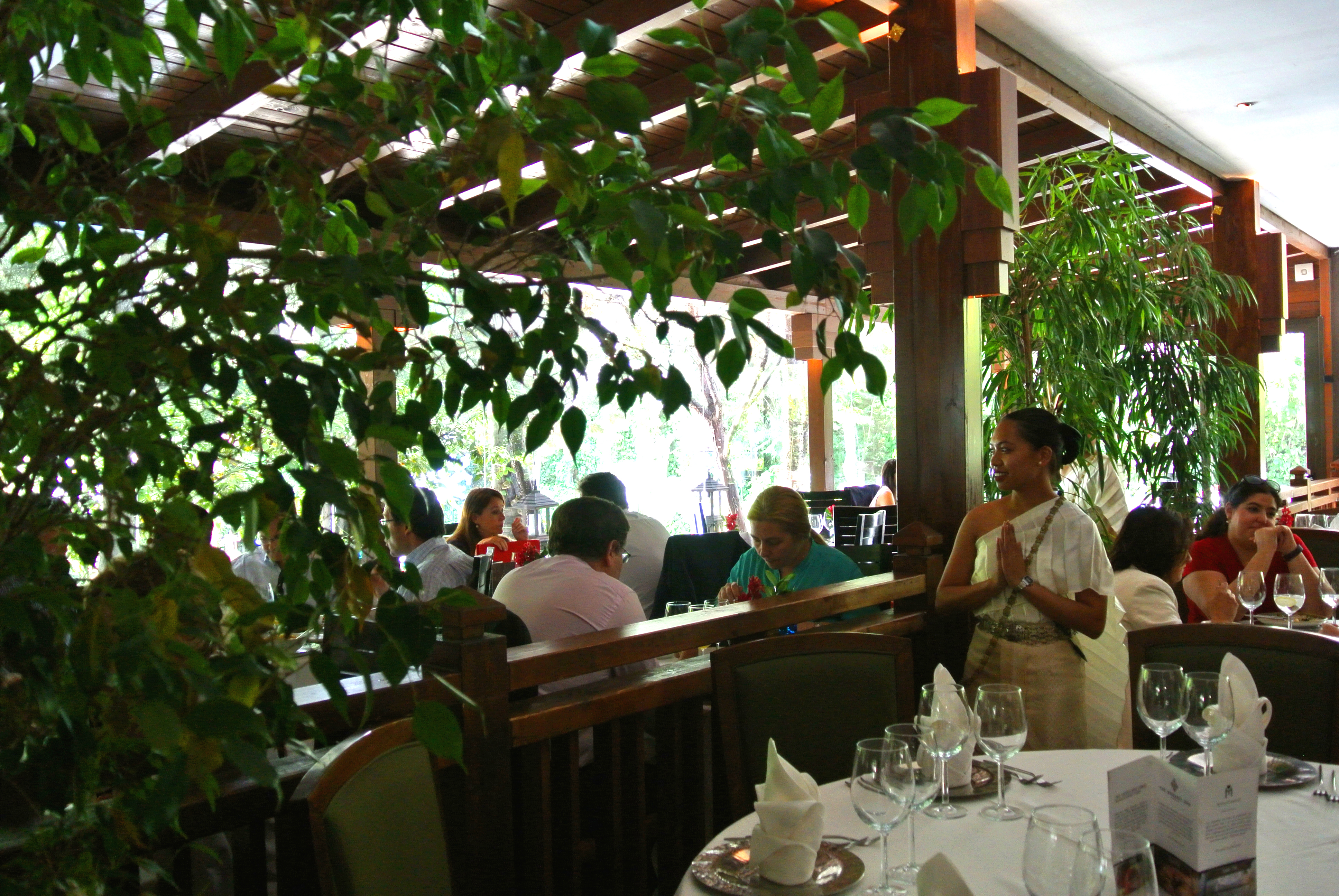 Degustar un menú en un exuberante jardín tailandés. Degustar un menú en un exuberante jardín tailandés.