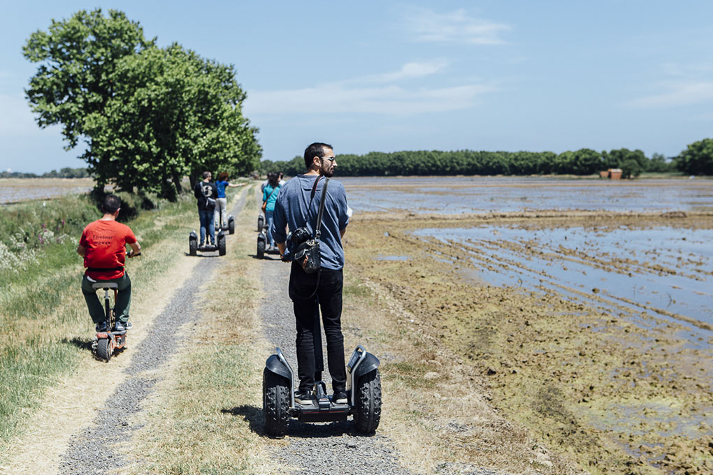 El paseo por los arrozales se puede realizar caminando, en bici o 'segway'. Son fáciles de hacer, al ser terreno muy plano. El paseo por los arrozales se puede realizar caminando, en bici o 'segway'. Son fáciles de hacer, al ser terreno muy plano.