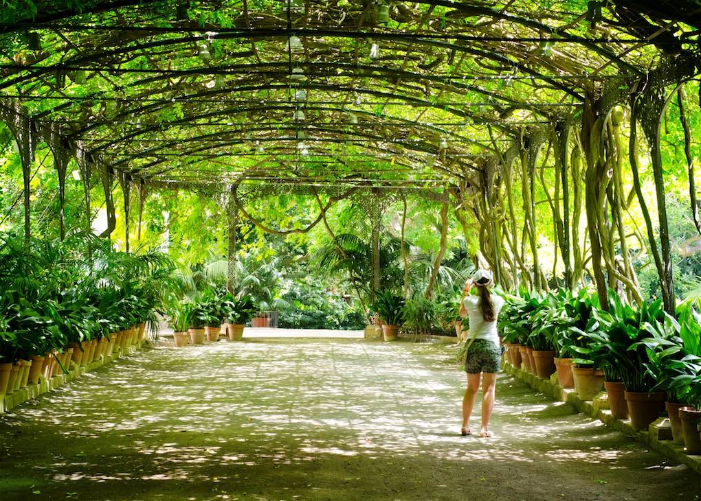 La Concepción Jardín Botánico Histórico de Málaga, pulmón verde. Foto: Shutterstock. La Concepción Jardín Botánico Histórico de Málaga, pulmón verde. Foto: Shutterstock.