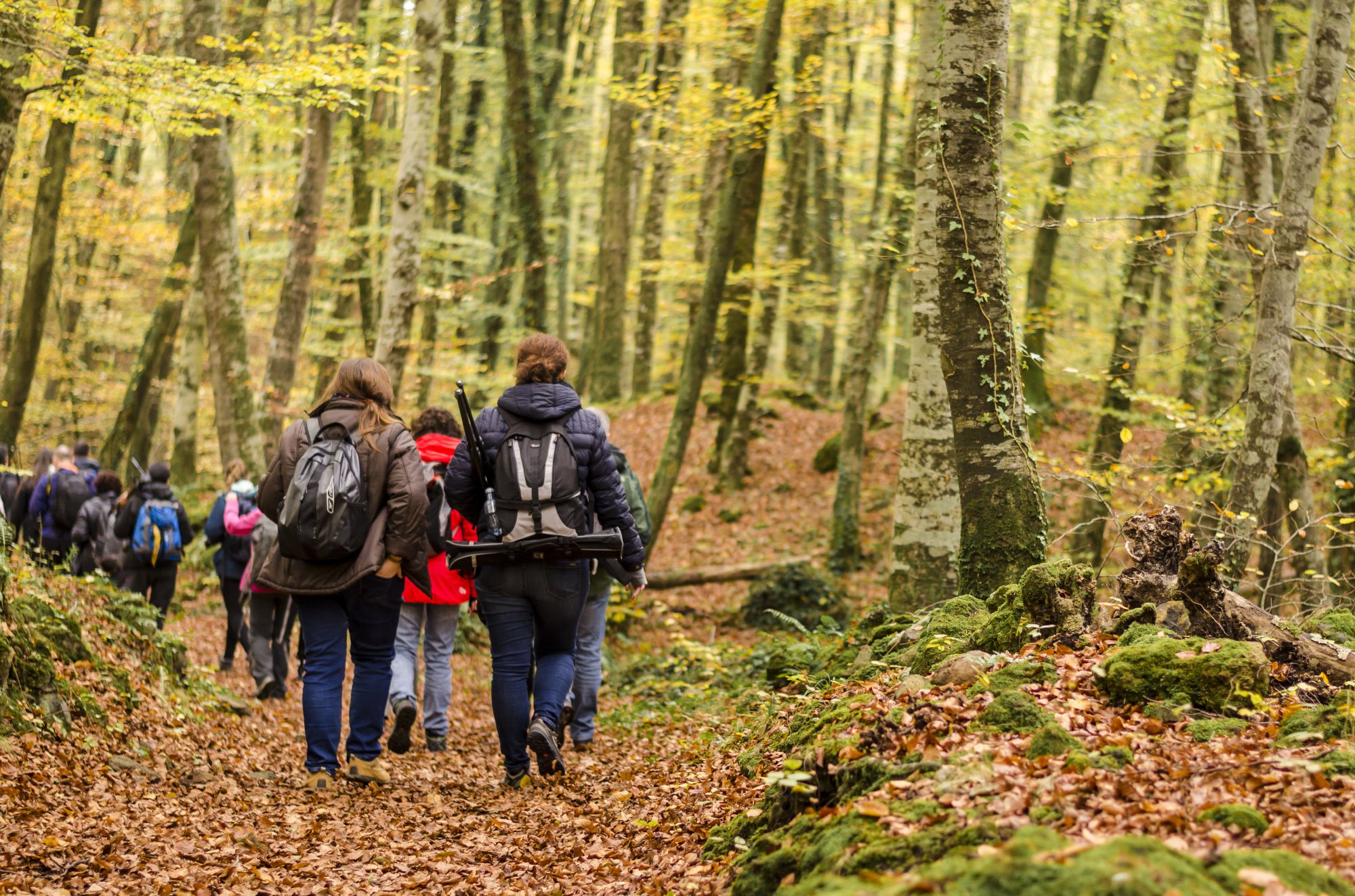 En el parque natural existen hasta 28 itinerarios a pie. Foto: Shutterstock. En el parque natural existen hasta 28 itinerarios a pie. Foto: Shutterstock.