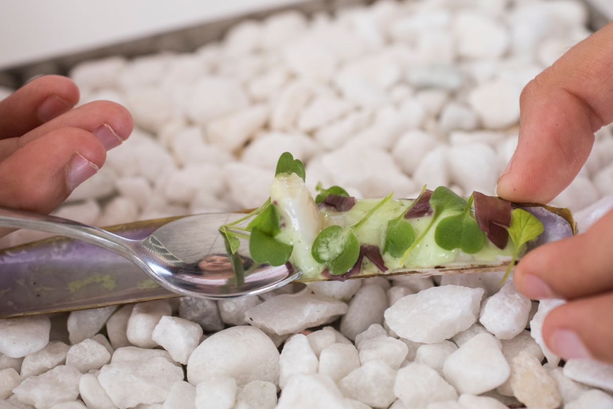 Navaja con vinagreta de manzana verde y pimiento verde y brote de rúcula y alga glacial de 'La Sucursal', en Valencia. Navaja con vinagreta de manzana verde y pimiento verde y brote de rúcula y alga glacial de 'La Sucursal', en Valencia.