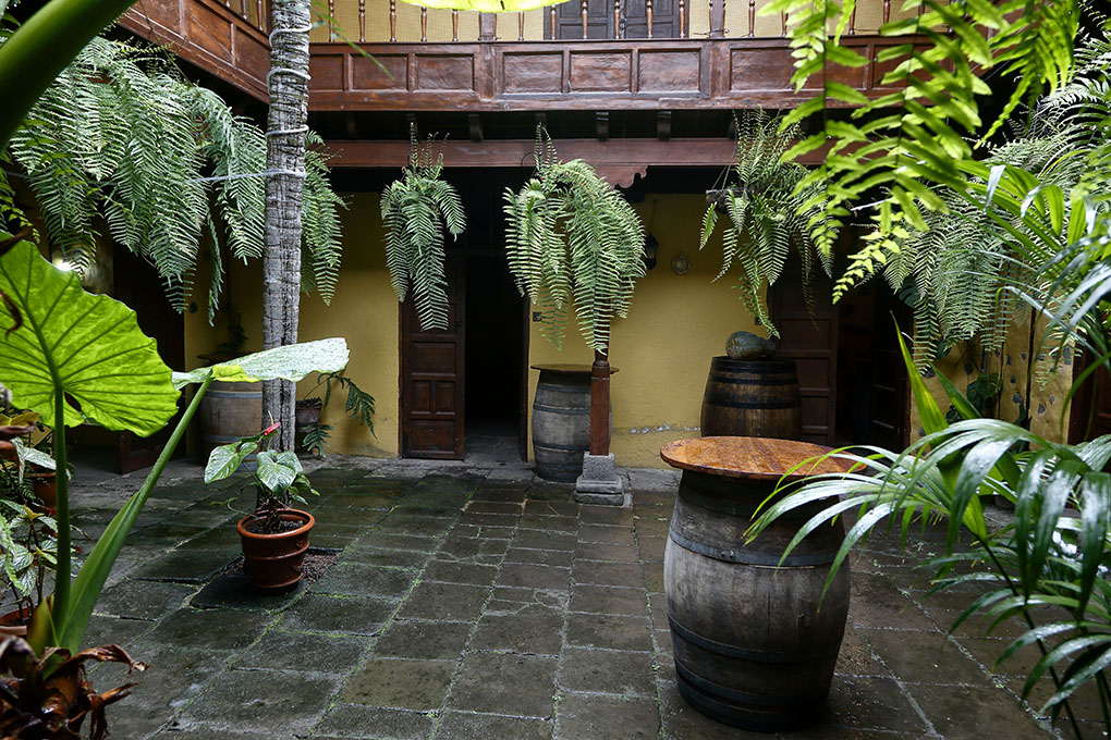 El patio en el que don Pedro ofrecía a los vecinos su vino y doña Rosa, sus papas El patio en el que don Pedro ofrecía a los vecinos su vino y doña Rosa, sus papas