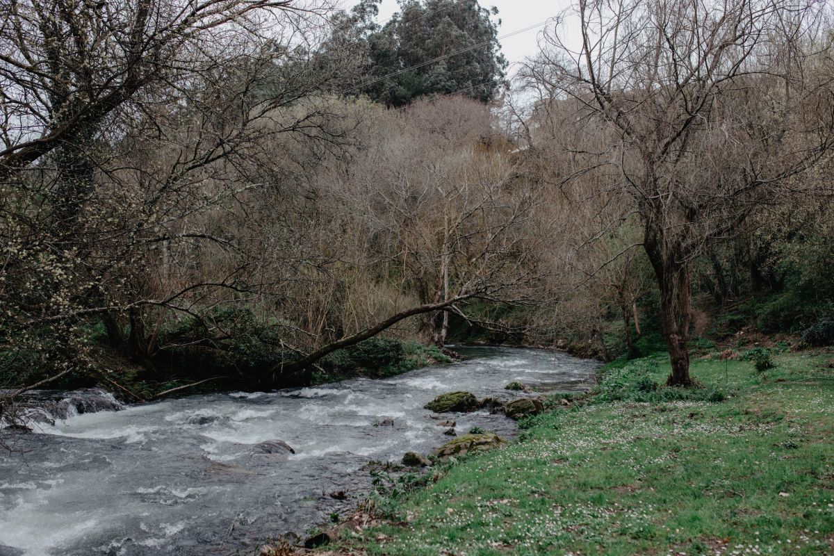 El río que rodea 'A Quinta da Auga'. El río que rodea 'A Quinta da Auga'.