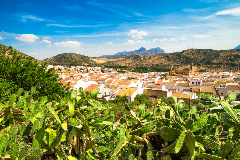 Vista del pueblo de Algodonales. Foto: Shutterstock. Vista del pueblo de Algodonales. Foto: Shutterstock.