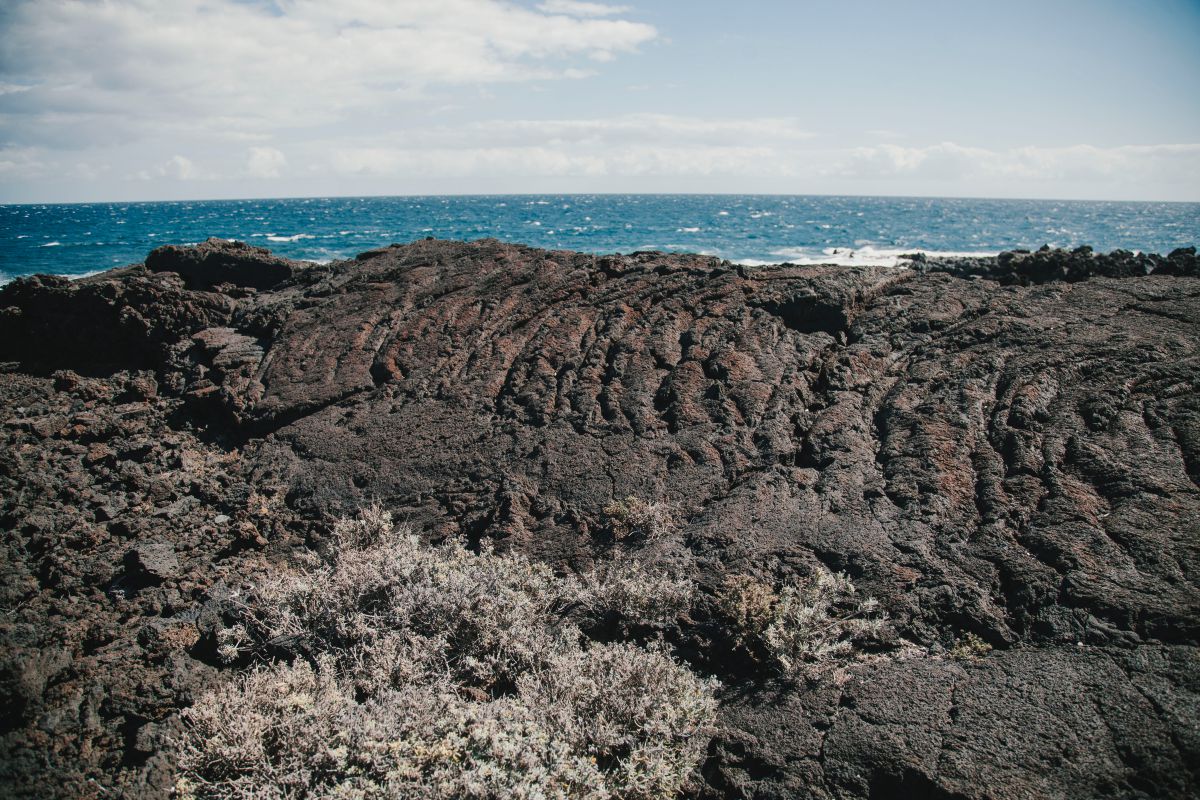 Las lavas cordadas nos recuerdan que pisamos lo que antaño estuvo a 1.000 ºC. Las lavas cordadas nos recuerdan que pisamos lo que antaño estuvo a 1.000 ºC.