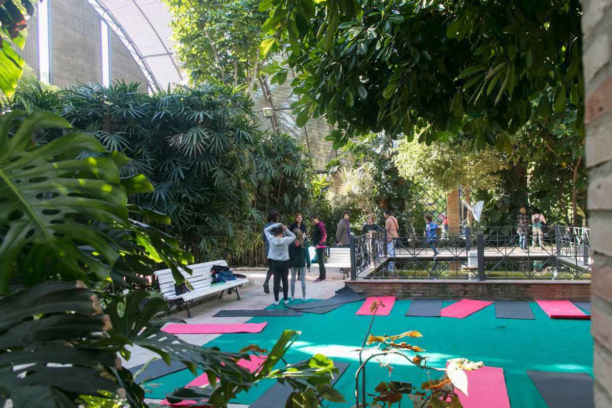 Actividades al aire libre (cuando el tiempo lo permite). Actividades al aire libre (cuando el tiempo lo permite).