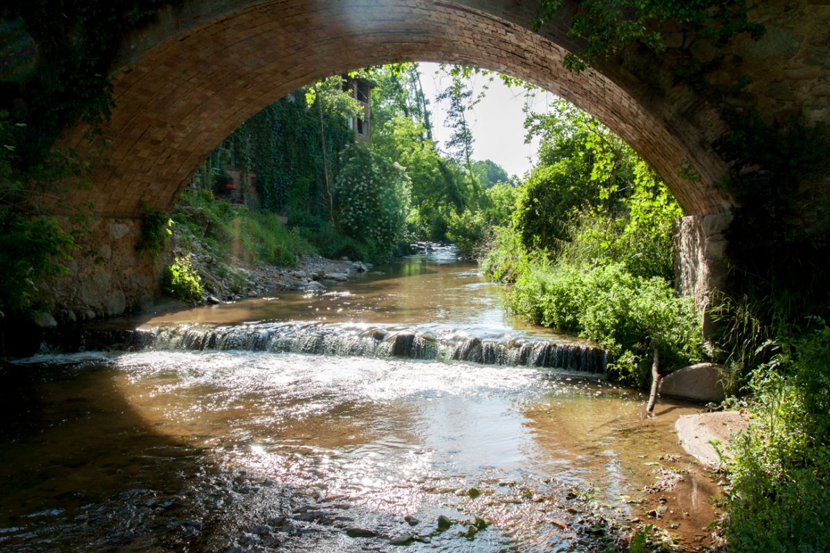 Vista del puente sobre la riera de Arbucies. Vista del puente sobre la riera de Arbucies.