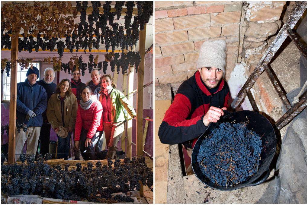 Miguel Martínez y familia en las colgaderas y con las uvas listas para el prensado. Miguel Martínez y familia en las colgaderas y con las uvas listas para el prensado.