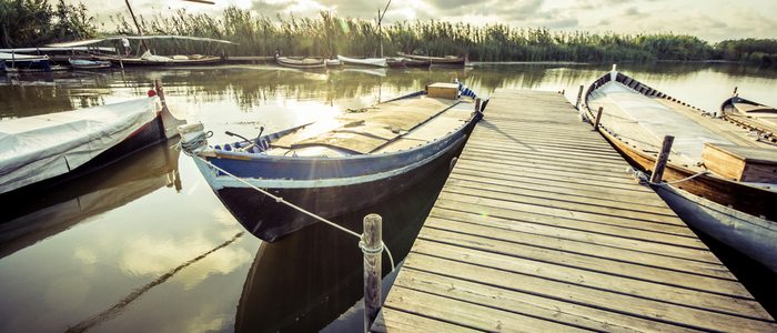 Albufera de Valencia. Albufera de Valencia.