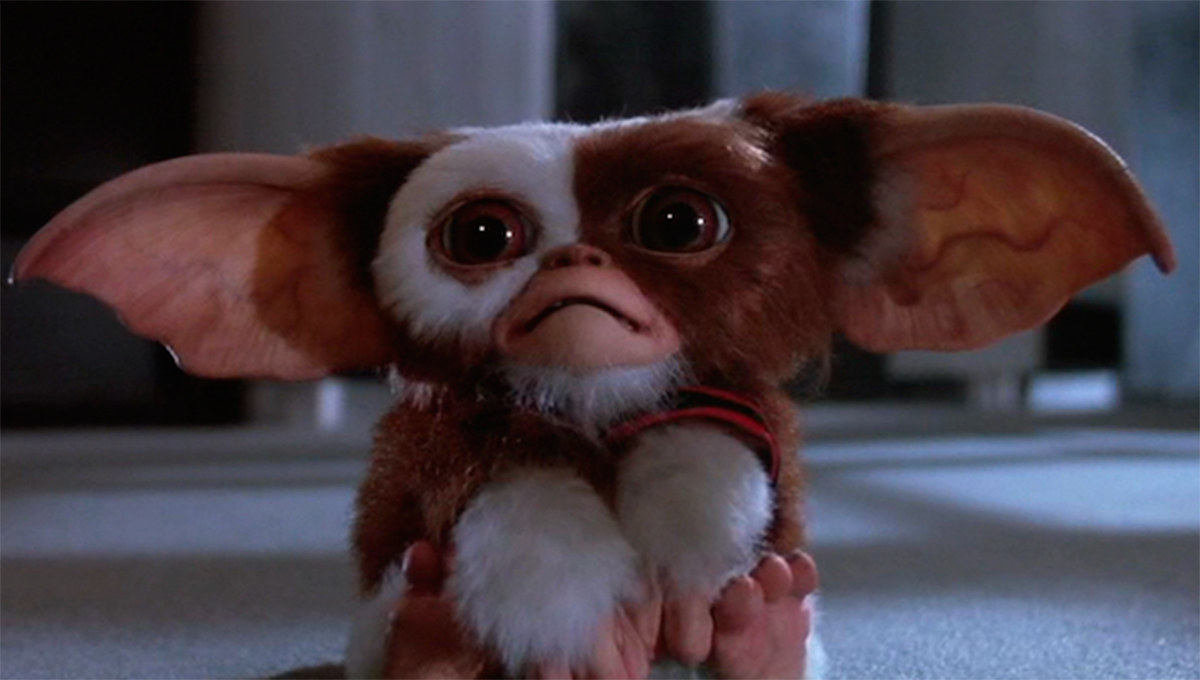 La película 'Gremlins' se reestrena esta Navidad. La película 'Gremlins' se reestrena esta Navidad.