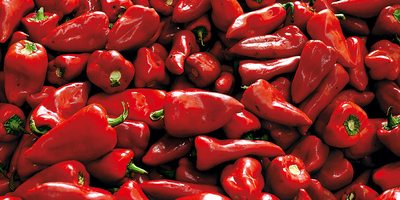 Pimientos del piquillo de Lodosa. Pimientos del piquillo de Lodosa.