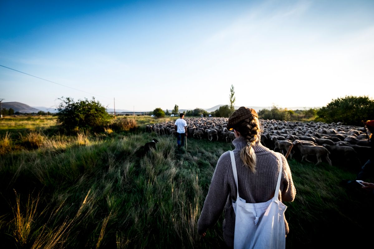 Experimentando uno de los oficios más sacrificados del medio rural. Foto: Shutterstock. Experimentando uno de los oficios más sacrificados del medio rural. Foto: Shutterstock.