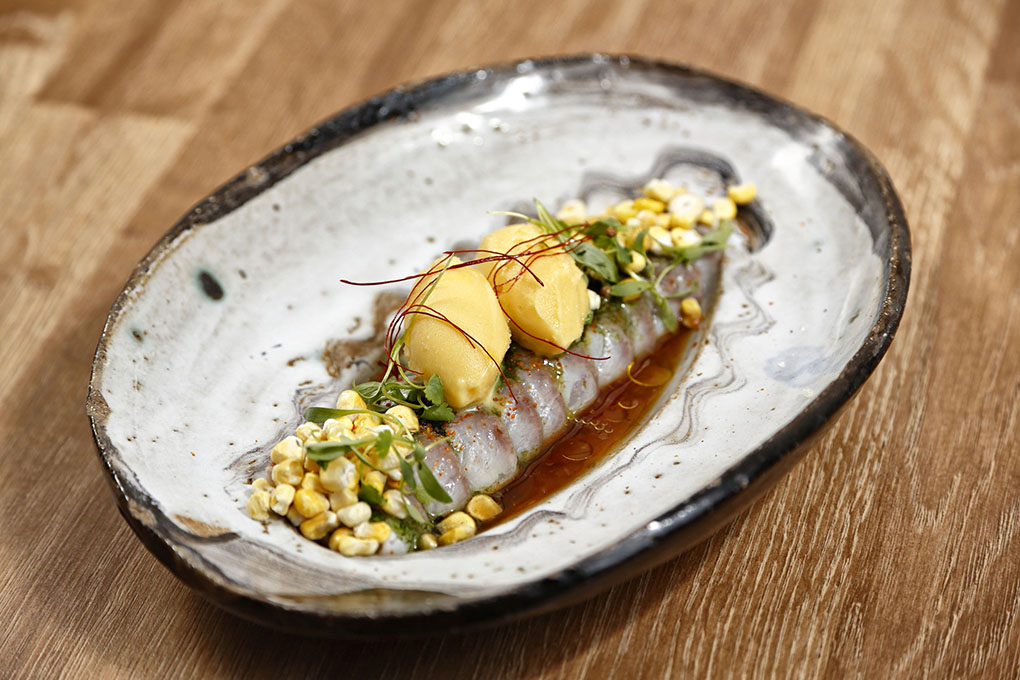 Corvina estilo nikkei con caldo ponzu, tobiko-wasabi, maíz y plancton. Corvina estilo nikkei con caldo ponzu, tobiko-wasabi, maíz y plancton.