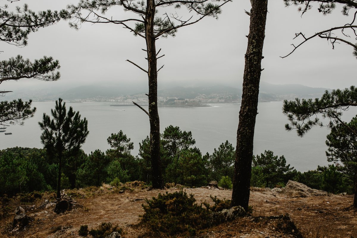 La península de Monteferro se adentra en el mar y está plagada de pinos y eucaliptos. La península de Monteferro se adentra en el mar y está plagada de pinos y eucaliptos.