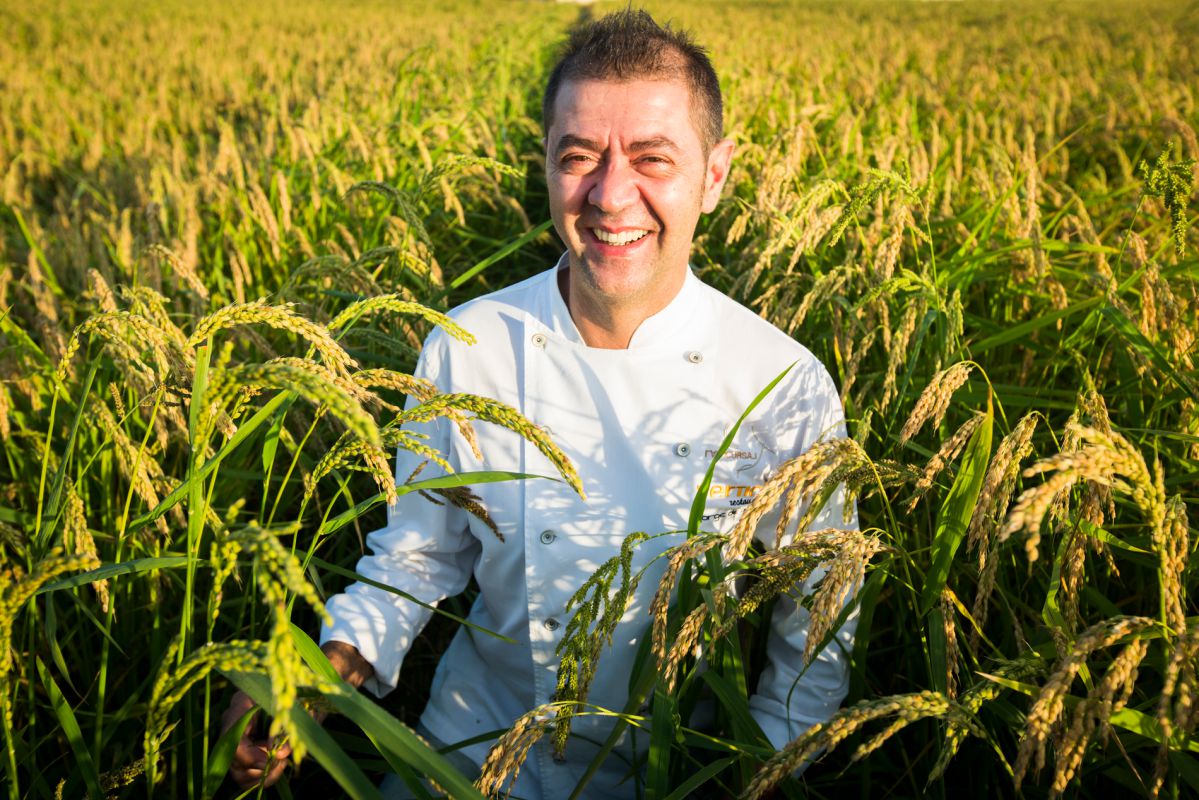 El reconocido chef Jorge de Andrés, del restaurante 'La Marítima' posa en el arrozal de L'Albufera. El reconocido chef Jorge de Andrés, del restaurante 'La Marítima' posa en el arrozal de L'Albufera.