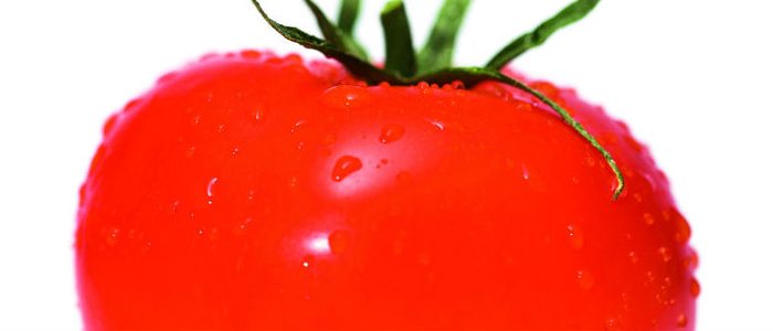 Tomate de La Cañada. Tomate de La Cañada.