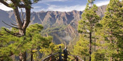 Mirador La Cumbrecita, La Palma. Foto de: Saúl Santos. Cedida por: Patronato de Turismo de La Palma. Mirador La Cumbrecita, La Palma. Foto de: Saúl Santos. Cedida por: Patronato de Turismo de La Palma.