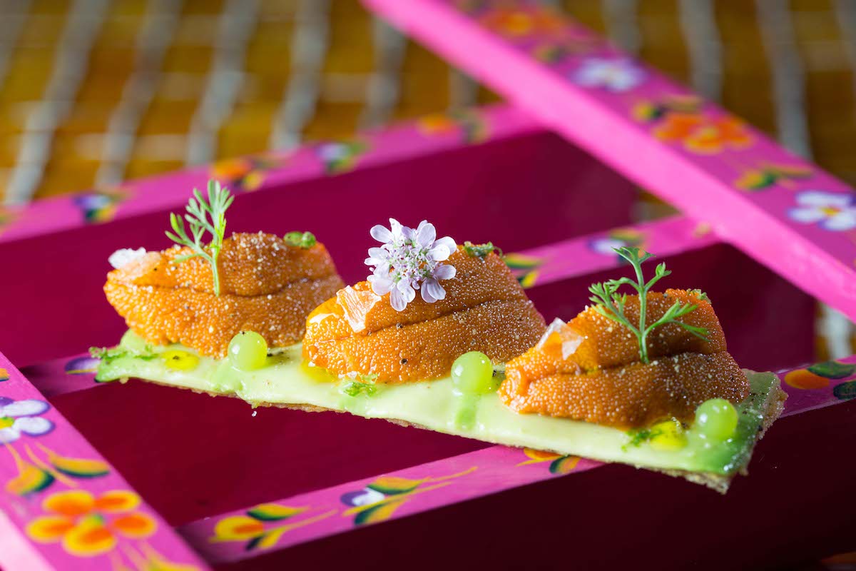 Tosta de erizos y aguacate del nuevo restaurante mexicano de Albert Adrià, 'Hoja Santa'. Foto: cedida. Tosta de erizos y aguacate del nuevo restaurante mexicano de Albert Adrià, 'Hoja Santa'. Foto: cedida.