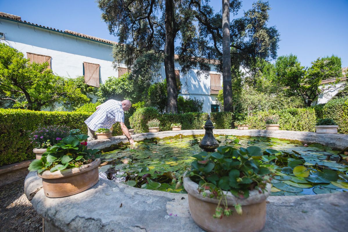 La fuente repleta de nenúfares de El Jardín invita a refrescarse. La fuente repleta de nenúfares de El Jardín invita a refrescarse.