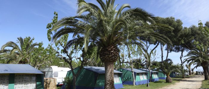 Las caravanas permiten disfrutar del camping casi durante todo el año. Las caravanas permiten disfrutar del camping casi durante todo el año.