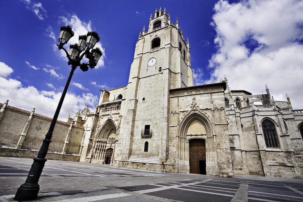 Catedral de Palencia. Catedral de Palencia.