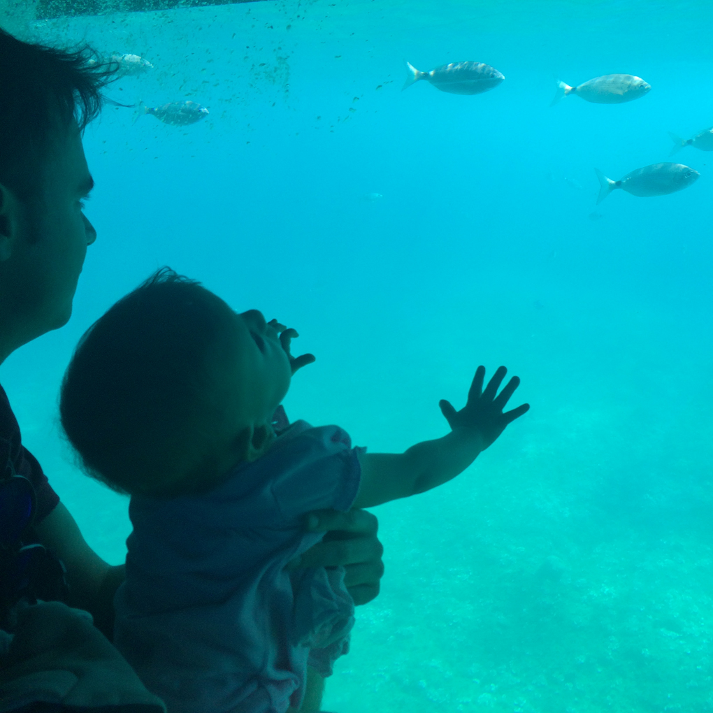Una excursión que triunfa entre los más pequeños (y mayores). Foto: Johanna Saldón. Una excursión que triunfa entre los más pequeños (y mayores). Foto: Johanna Saldón.