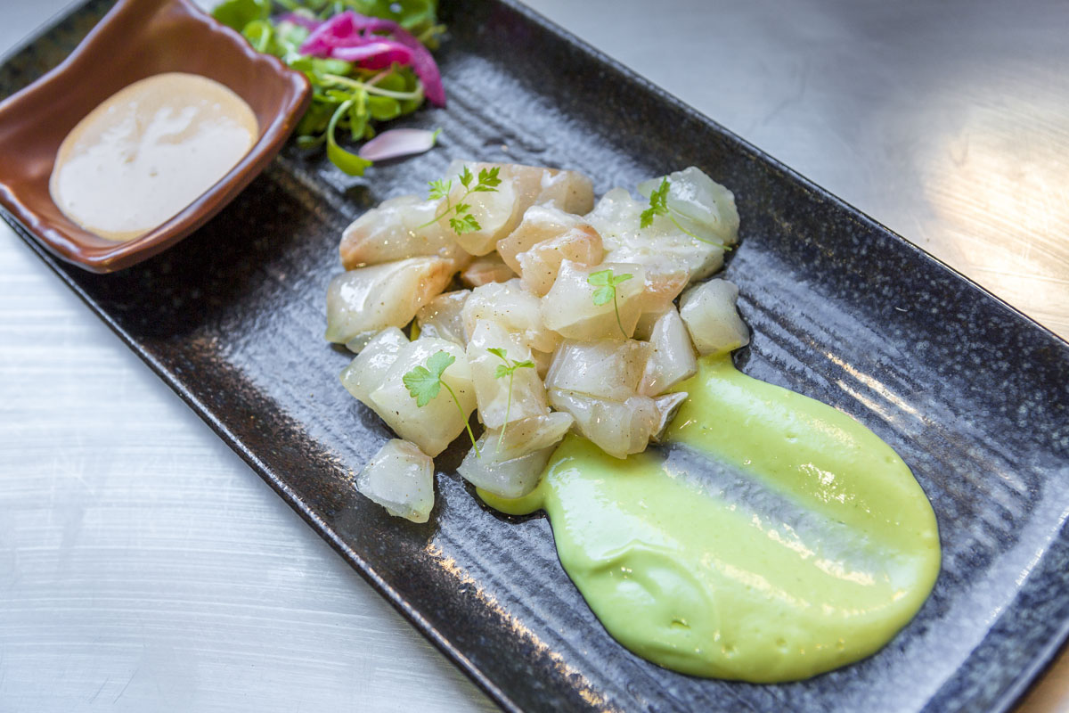 Tartar de lubina salvaje con gazpacho de aguacate y mayonesa de chile. Tartar de lubina salvaje con gazpacho de aguacate y mayonesa de chile.