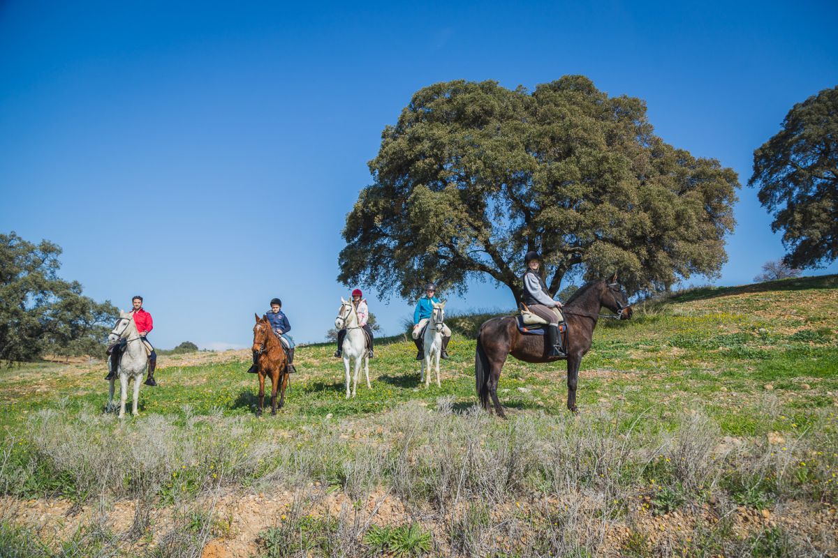 El grupo descansa unos minutos en el Bosque de Las Pinedas, en la mitad de la ruta. El grupo descansa unos minutos en el Bosque de Las Pinedas, en la mitad de la ruta.