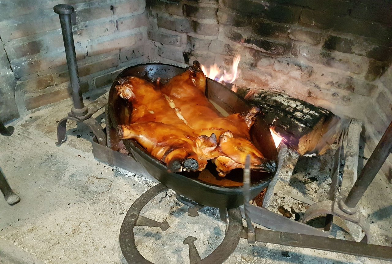 Los cochinillos son de menos de 6 kg para que no contengan demasiada grasa. Foto: Edu Sánchez. Los cochinillos son de menos de 6 kg para que no contengan demasiada grasa. Foto: Edu Sánchez.