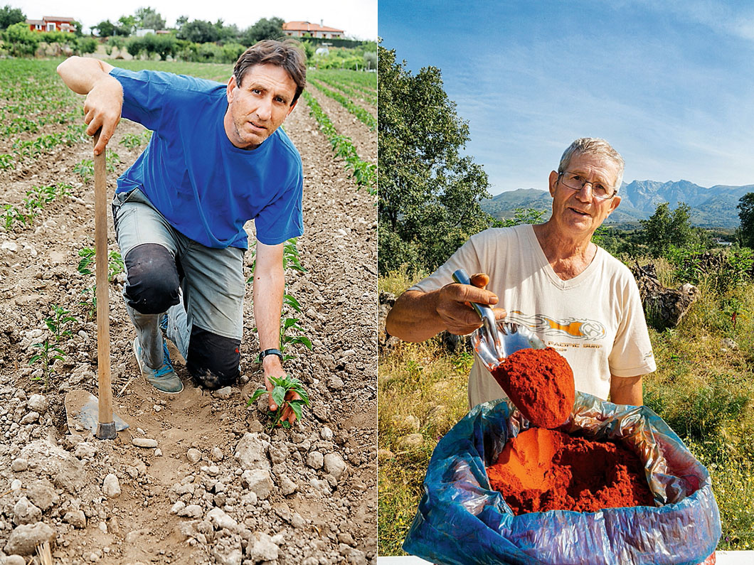 Productores de pimentón Productores de pimentón