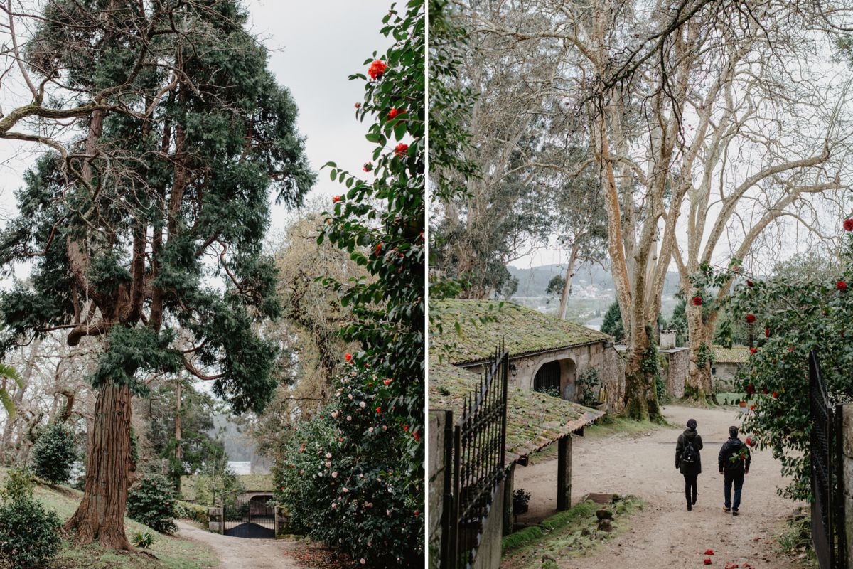 Paseando por el pazo de Rubianes. A la derecha, la bodega. Paseando por el pazo de Rubianes. A la derecha, la bodega.