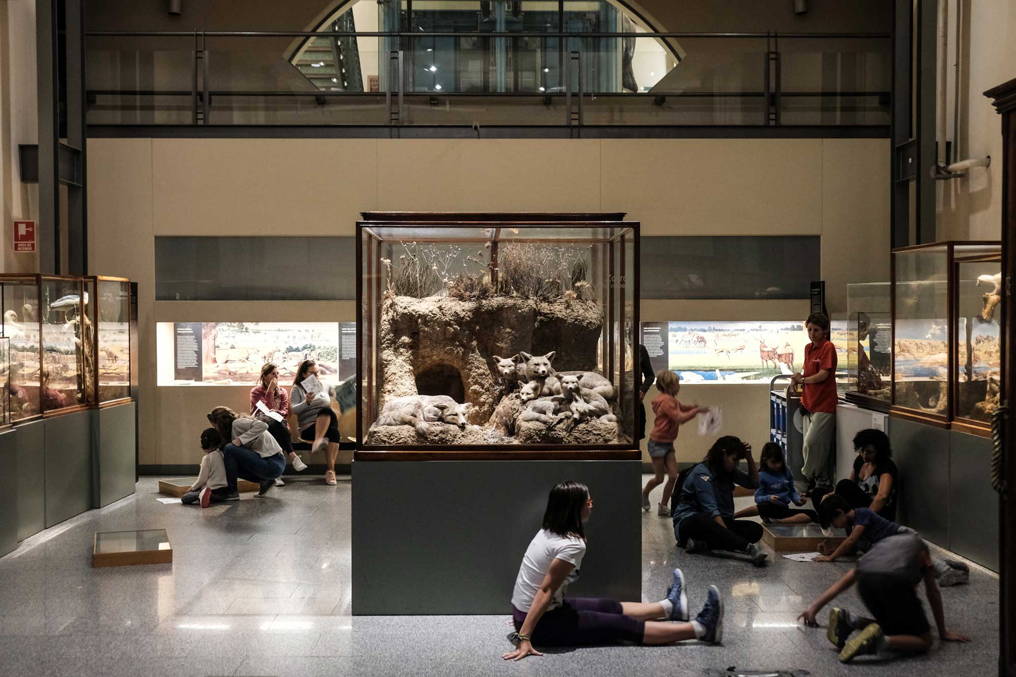 Cualquier zona del museo es apropiada para sentarse y seguir investigando. Cualquier zona del museo es apropiada para sentarse y seguir investigando.