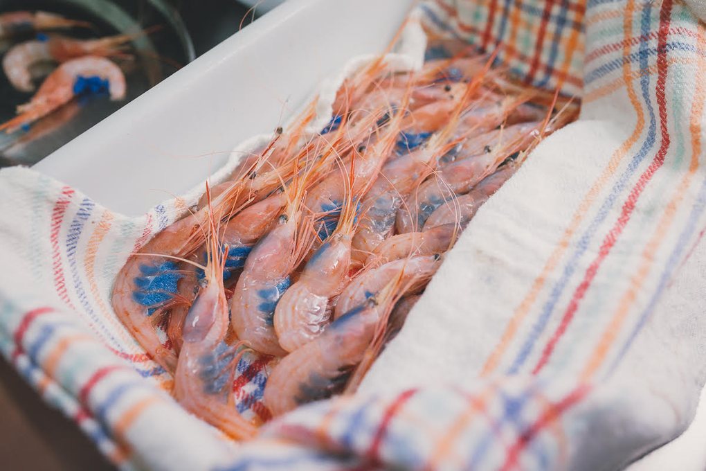 Gambas fresquísimas. Sin más. Gambas fresquísimas. Sin más.