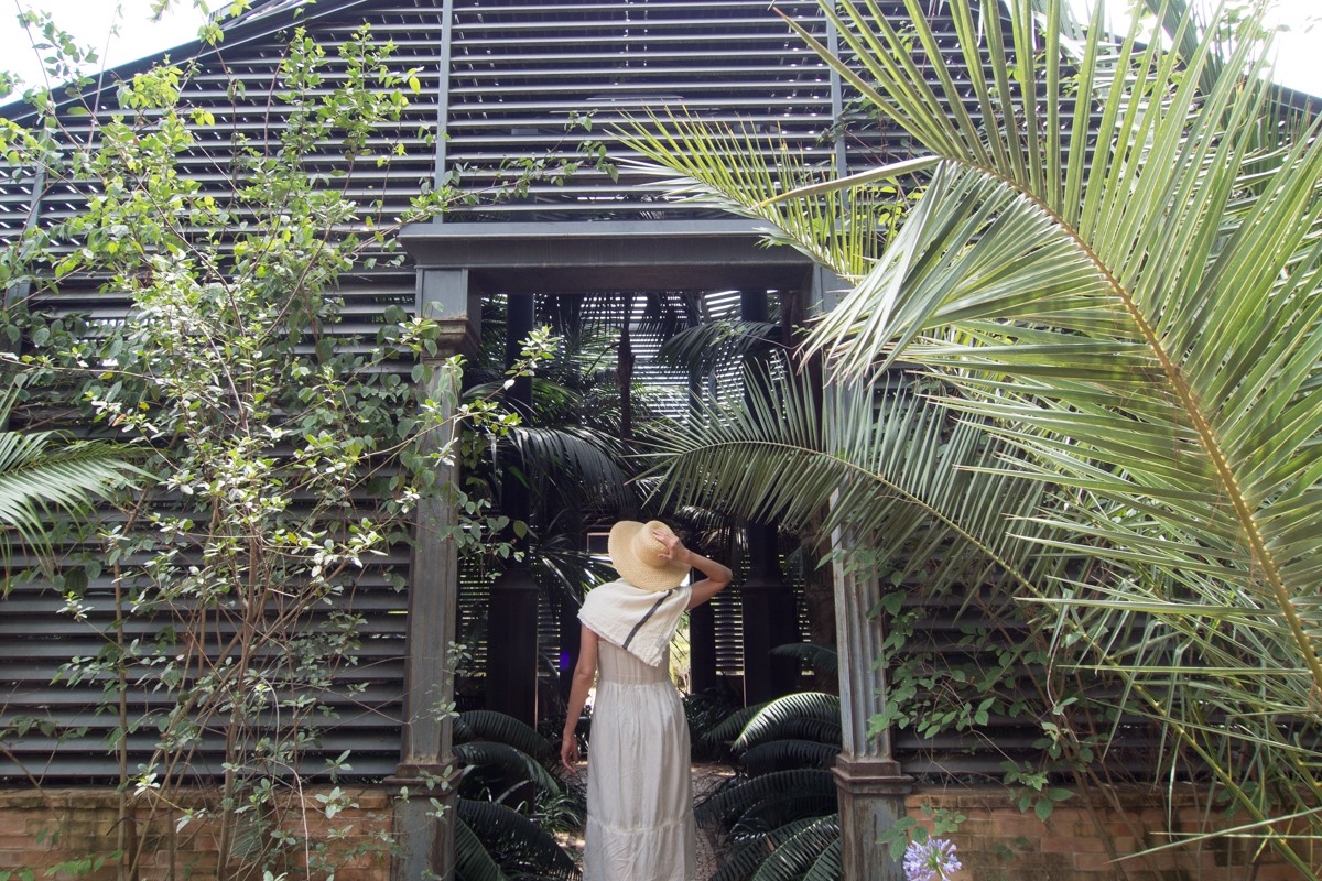 El umbráculo alberga palmeras, helechos y otras plantas tropicales. El umbráculo alberga palmeras, helechos y otras plantas tropicales.