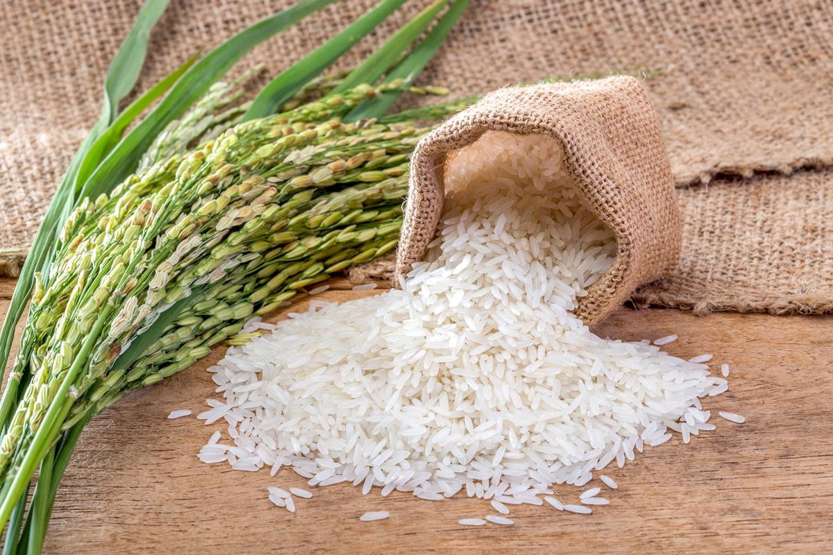El arroz es un ingrediente cotidiano en América. Foto: Shutterstock. El arroz es un ingrediente cotidiano en América. Foto: Shutterstock.